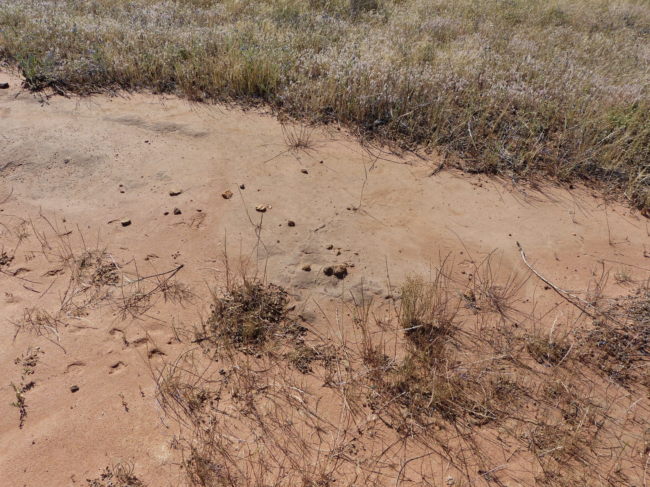 Aboriginal Ovens