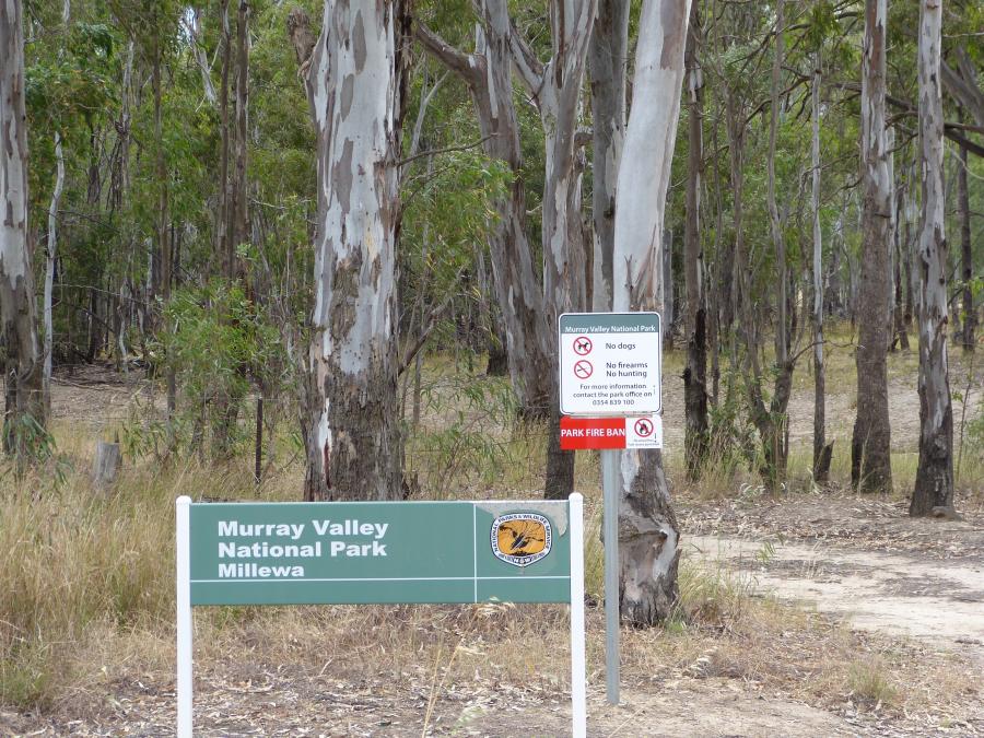 Murray River Red Gum Forests Interpretation Project.