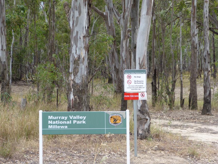 Murray River Red Gum Forests Interpretation  Project. 