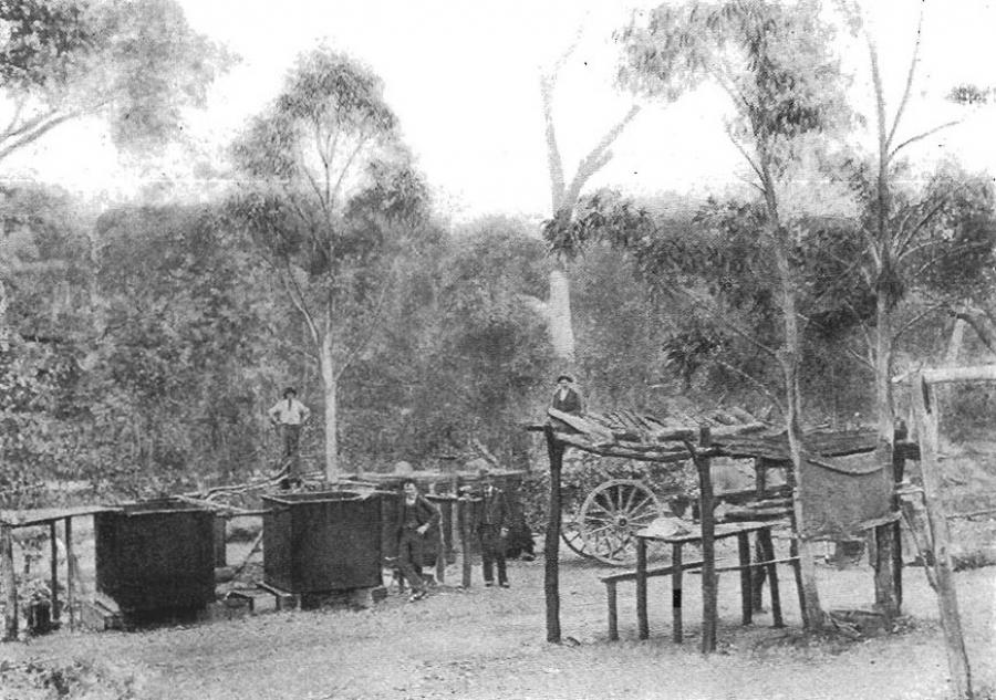 Review of evidence related to Eucalyptus Distilling at 'Girraween' Hill Top for Wingecarribee Shire Council. 