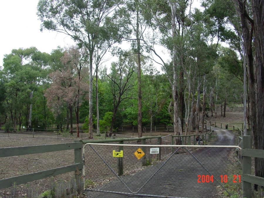 Heritage Impact Statement , 314 Annangrove Road, Rouse Hill. September 2008