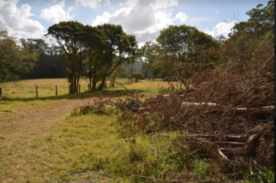 Kangy Angy Aboriginal Due Diligence